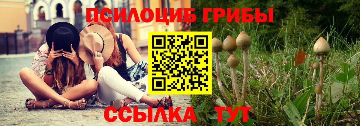 Псилоцибиновые грибы Magic Shrooms  Вход с VPN  Гатчина 